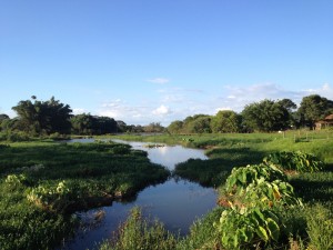 IMG_1881