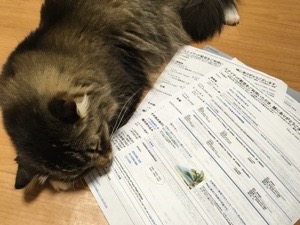 20160202-222754.jpg