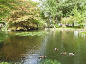 IMG_20150929_122027