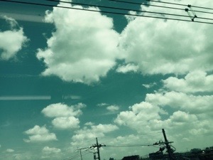20160608-104135.jpg
