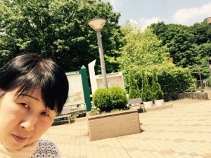 20160608-105104.jpg