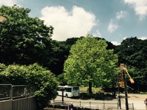 20160608-105111.jpg