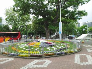 IMG_20160608_112418