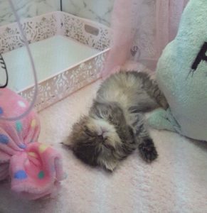 Image048