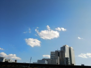 DSC_1372