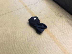 20160310-180331.jpg