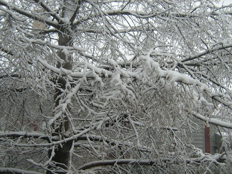 シカゴの雪
